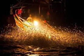 鱿鱼是如何从海里钓出来呢？图片