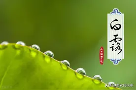 还有4天白露，“白露逢单，地下不干”啥意思？啥时候真正入秋？图片