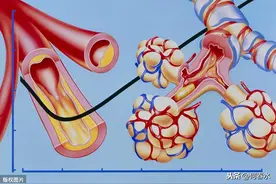 血管疾病-血管炎图片