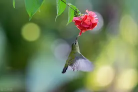 想要心情好，远离这三种人图片