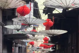 一辈子太短，懂得却太晚图片