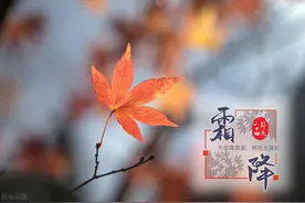 明天霜降，补充脂肪添衣保暖，推荐4道广东靓汤，做法简单营养高图片