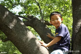 回忆小时候的爬树趣事图片
