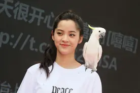 台湾艺人在大陆唱歌违什么法？图片
