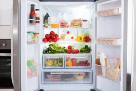 世界上无压缩机且最低达-80℃的超低温冰箱——斯特林超低温冰箱图片