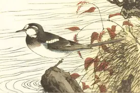 分享一份与《芥子园画谱》齐名的国外花鸟画谱图片