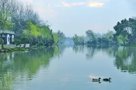 江苏扬州2020-2021高三第一学期期中生物—基因拼接技术图片