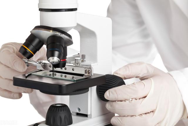 猫咪临床常用血液检查及血液生化检验项目（先收藏)