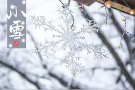 小雪养生｜国学大师张其成教授：养骨温阳初冬始图片