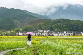 散文：古诗词中觅春意图片