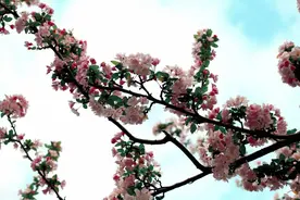 桂华：也谈土地使用权转让的宪法秩序图片