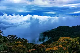 尖峰岭，中国十大最美森林公园之一图片