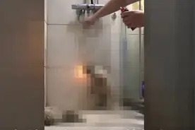 男子在流浪狗救助群发虐狗视频 称每月花数万元用于买狗并虐死图片