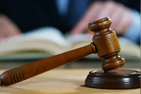 萍乡一女老板非法开采瓷泥，获刑十个月并处罚金图片