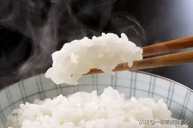 你瘦不下来，是因为“高碳水、低蛋白”？关键点根本不在这儿图片