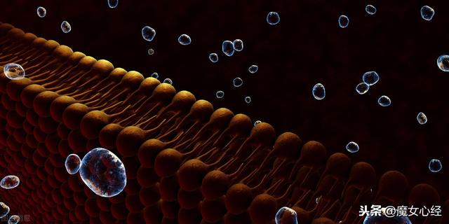 鐨偆鍚告敹鎶よ偆鍝佽惀鍏伙紝涓嶅彧鏄粏鑳炲惛鏀舵墠鏈夌敤