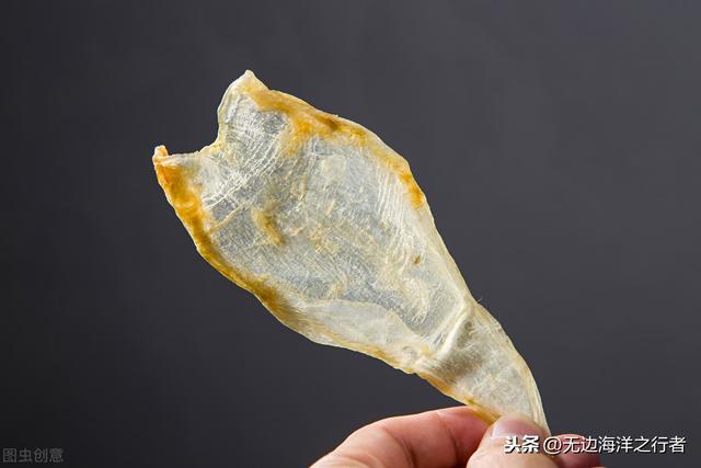 鱼胶每天吃多少合适 2026年鱼胶每天吃多少合适呢