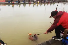 黑坑钓不到鱼？原来问题出在这，详解黑坑“打浮”至关重要的细节图片