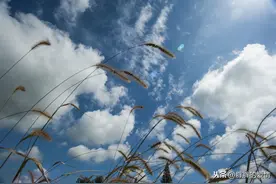 不为难自己，不辜负岁月；时光，浓淡相宜；人心，远近相安图片
