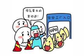 传说中的OPO，到底是什么？图片