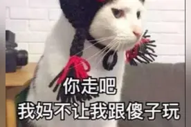 当文科生和理科生聊天时，画面能有多尴尬？着急都急不到一块去图片