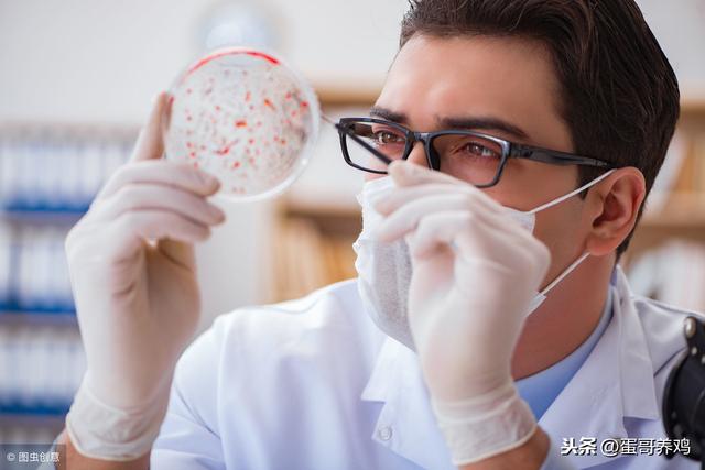 鑰佸吔鍖伙細瀹剁8绉嶅父瑙侀ゲ鏂欐坊鍔犲墏鐨勫姛鏁堝強浣跨敤锛屽啘鏉戝吇楦′汉鐪嬬湅鍚? onerror=