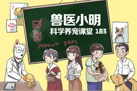 如何改善狗狗“懦弱”的性格？得在它们小的时候就要重视图片