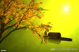 五年级数学下册因数与倍数教学设计图片