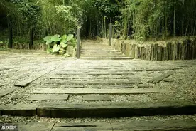 扩散，让更多人知道！发现戴黄手环的老人，请帮TA回家图片