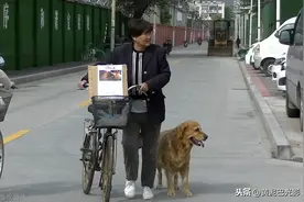 郑州7旬大娘爱犬跑丢，她和狗妈妈相伴街头哭寻，看啥样子图片