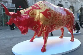 2021年是寡年，农村俗语“寡年不宜婚，滑年不盖房”，为何？图片