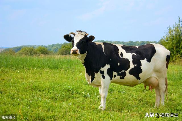 月子里乳房发炎怎么办