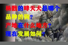杨戬的哮天犬是哪个品种的狗？产地在什么地方？现在发展如何？图片