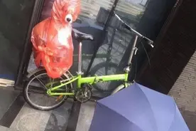 遛狗时突遇大雨！超天才铲屎官自制雨衣，网友笑翻：世界都是红的图片