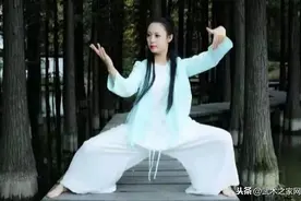 太极拳“定式”与“连绵不断”的关系图片