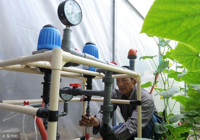 正确认识水溶肥，科学施肥效果好！