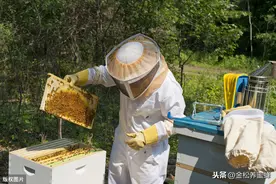 谁是蜂蜜进口第一大国，2019年进口了多少蜂蜜图片