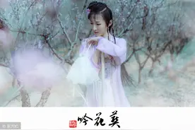 影视金曲推荐—陈力《葬花吟》红楼梦插曲图片