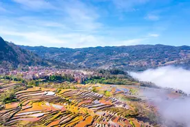 最新红河州行政区划代码图片
