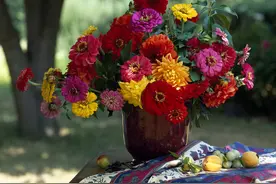 花草养好的人，往往有5个表现，若你能占全，恭喜与花草有缘图片