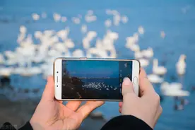 精心整理：8个你不知道的华为相机隐藏技巧，很实用图片