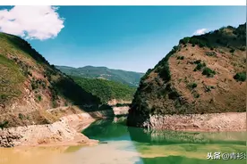 云县古树茶区和白莺山古茶园图片