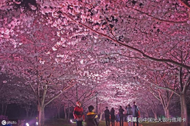 光大银行信用卡地带，光大中青旅联名卡好吗 配图05