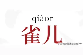 雀儿、燕唧子图片