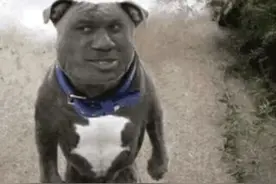 二郎神下凡把哮天犬丢了，被凡人捡到后竟然做了这样的事情图片