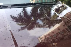 熊孩子用锋利物划数十辆私家车 律师：赔偿难逃图片