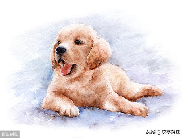 12生肖歇后语：老鼠进书房，下一句让人笑喷，值得收藏