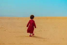 泰戈尔诗集选图片