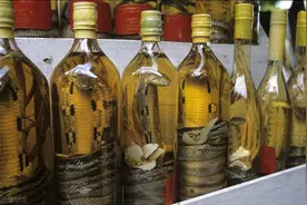 药酒泡的越久越好？别让无知害了自己图片