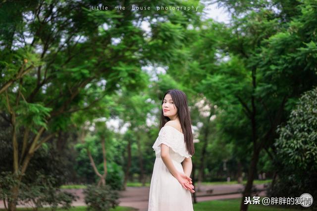 落花有意，流水无情，浮生沧桑，情是那无药可解的毒
